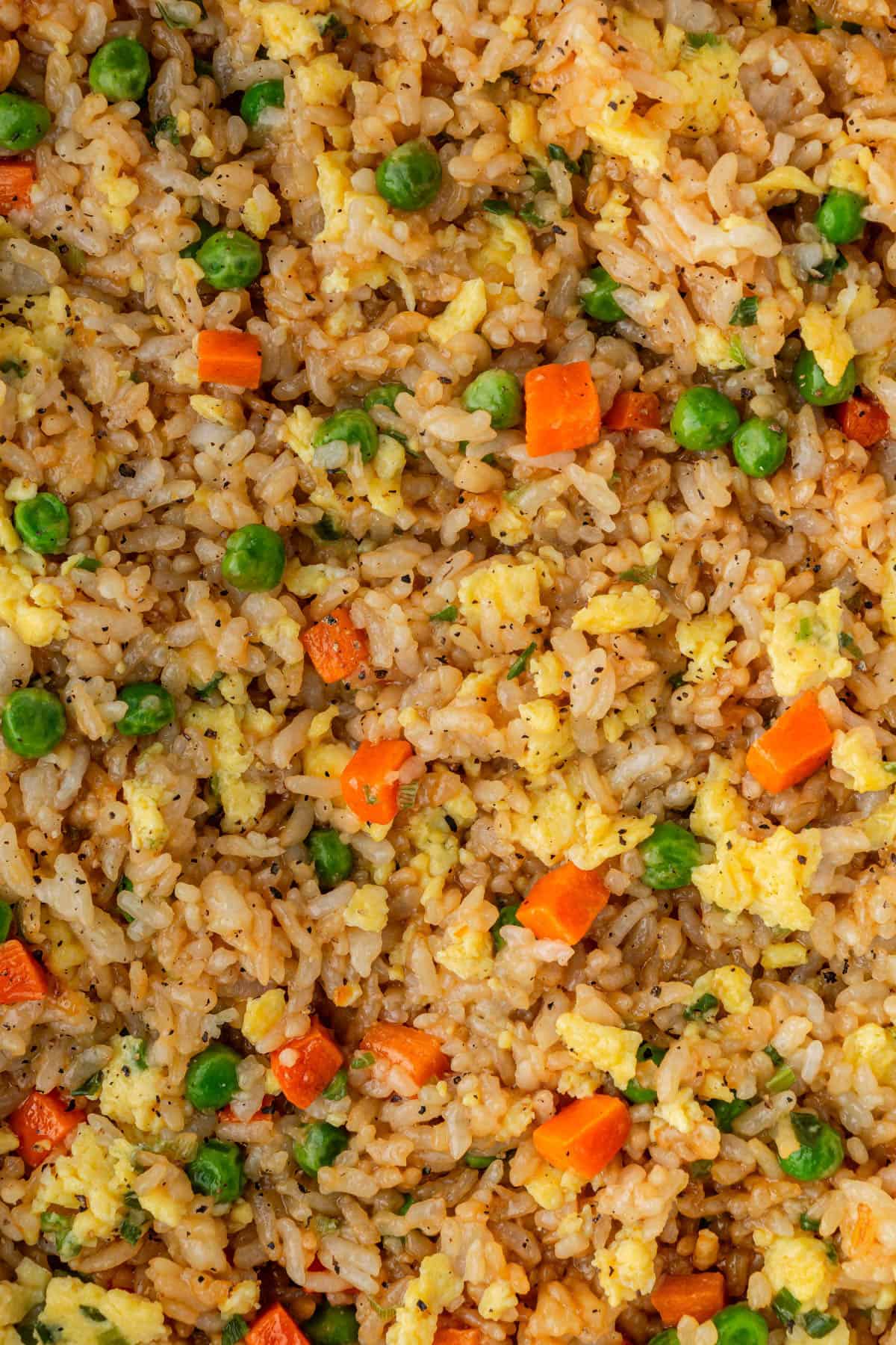 Close up of Panda express fried rice