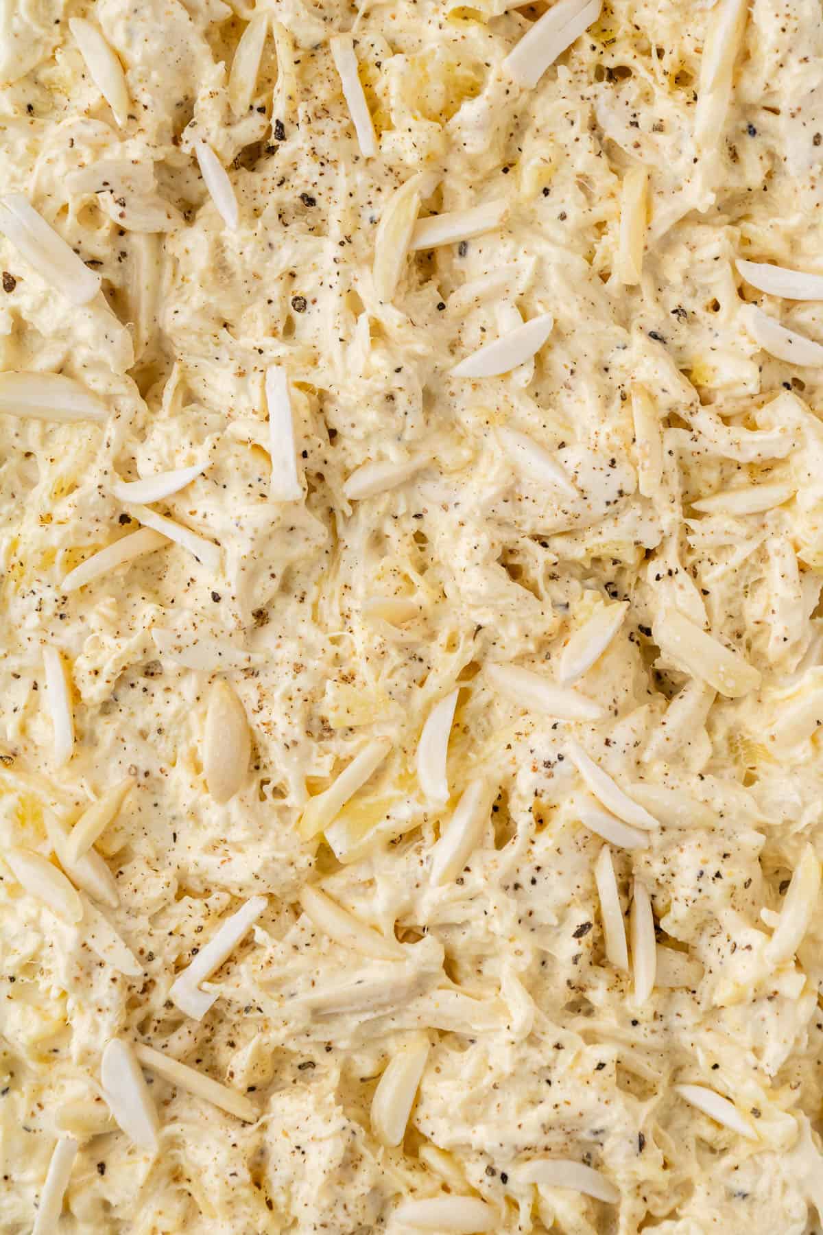 close up of the dish