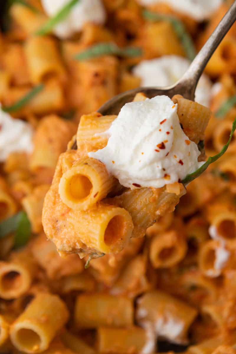 a serving spoon holding the cheesecake factory four cheese pasta recipe