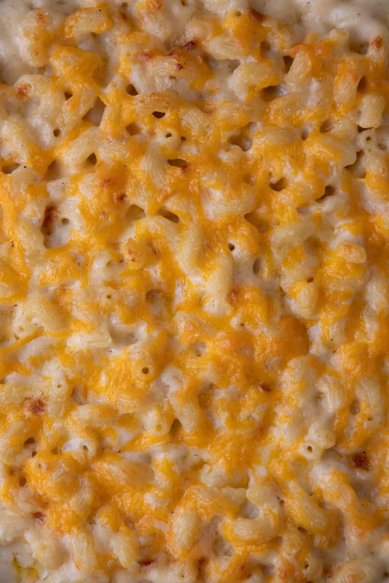 close up of the texture of the costco mac and cheese recipe