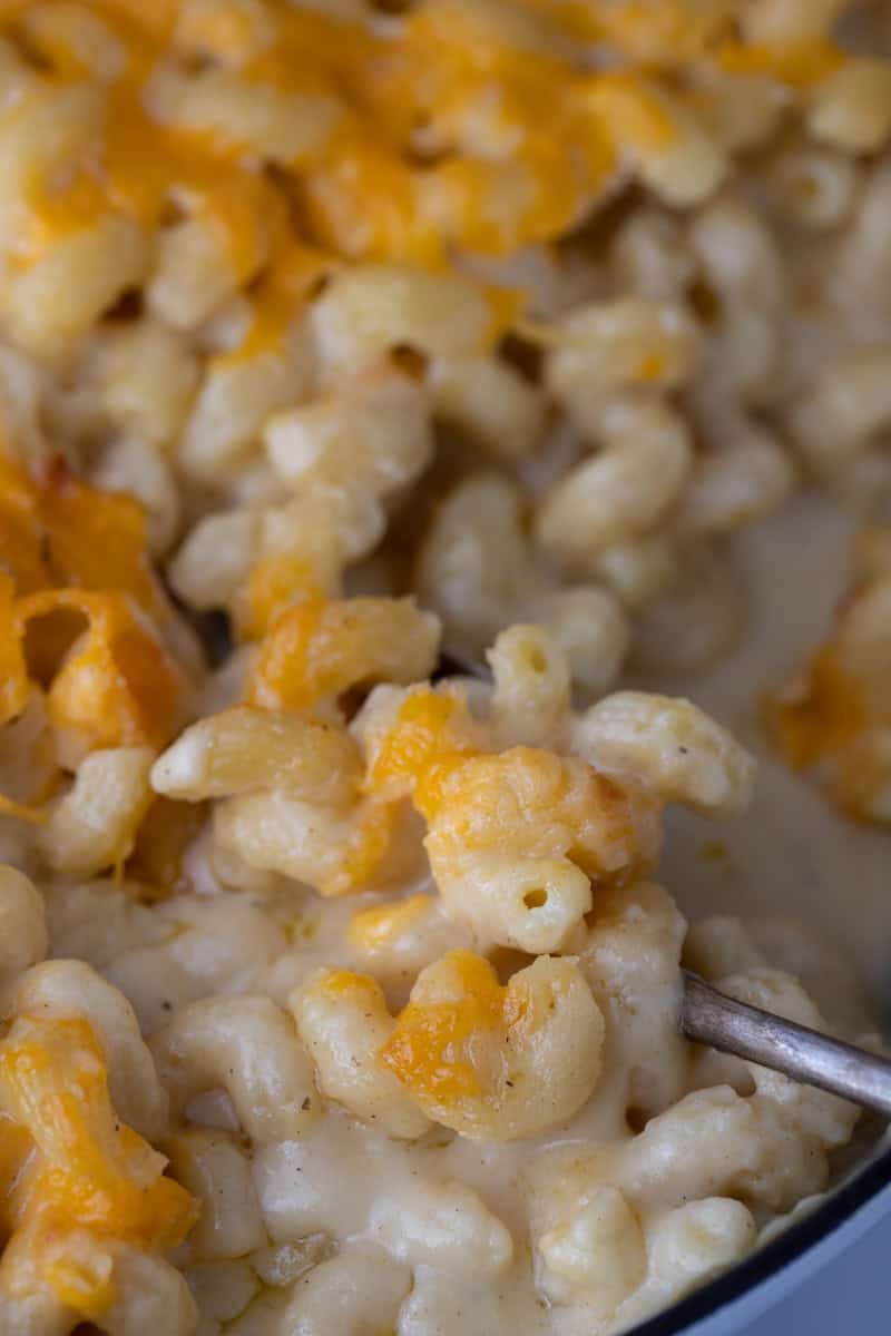 close up of the costco mac and cheese recipe
