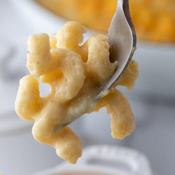 pasta noodles on a fork