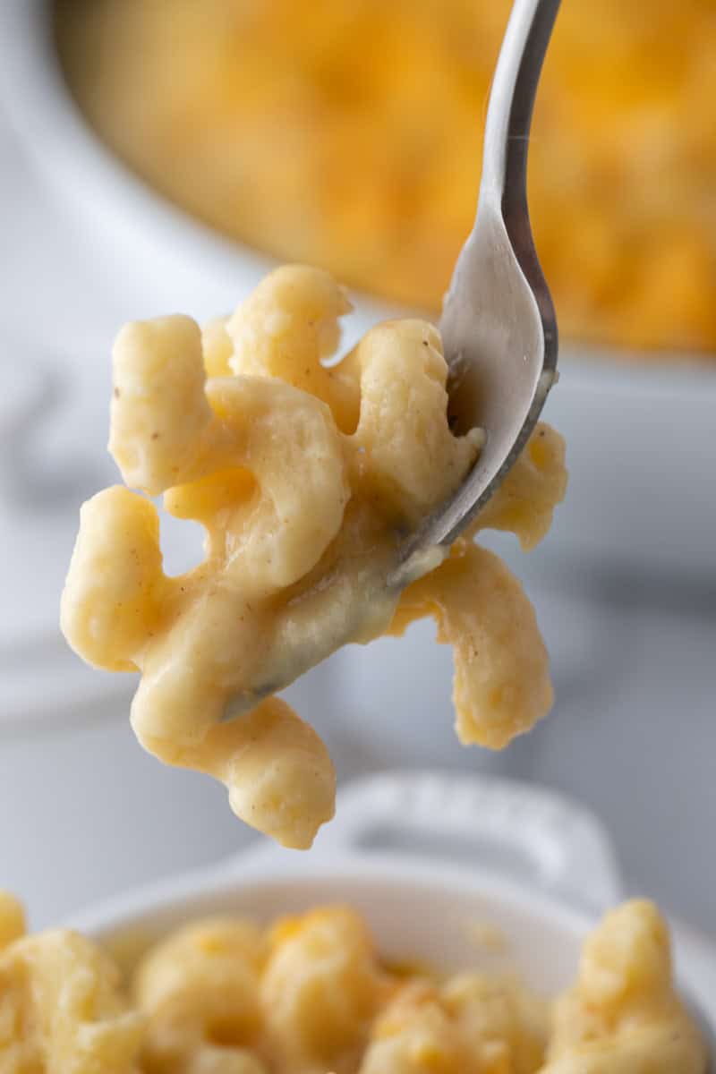 pasta noodles on a fork