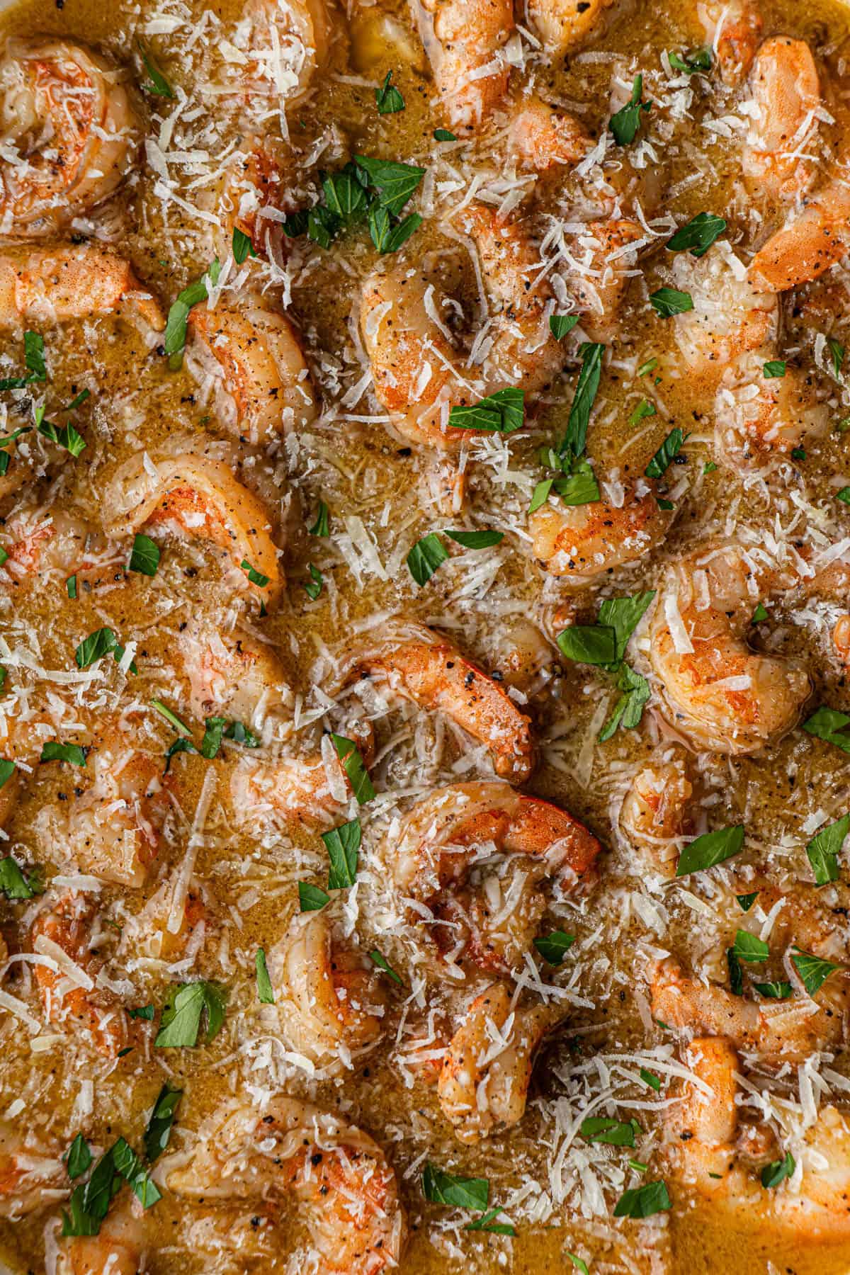 close up of red lobster shrimp scampi copycat recipe