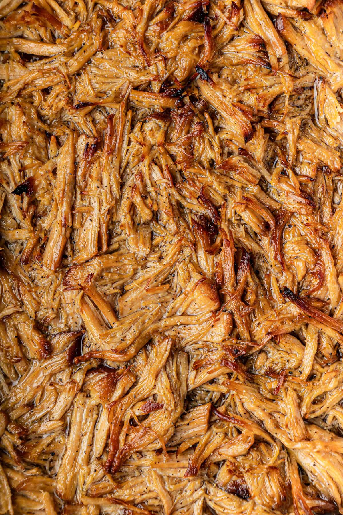 Closeup shot of the finished Chipotle Carnitas Copycat Recipe.