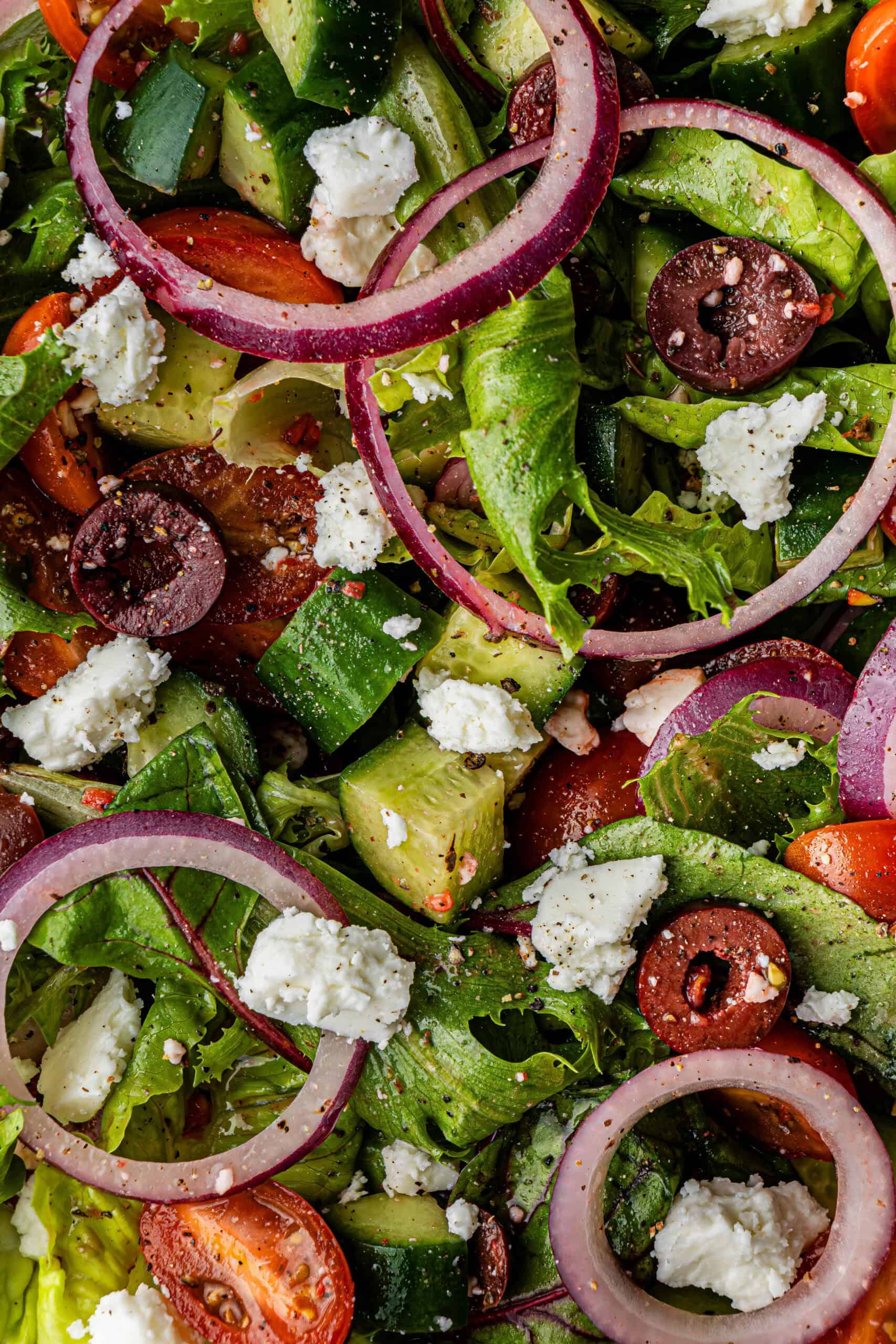 copycat Panera Bread Greek Chicken Salad Recipe close up